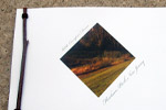 Park Avenue brochure